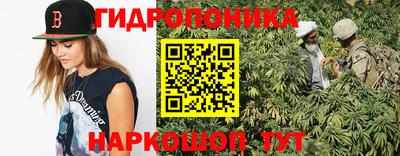 крисы Лесосибирск