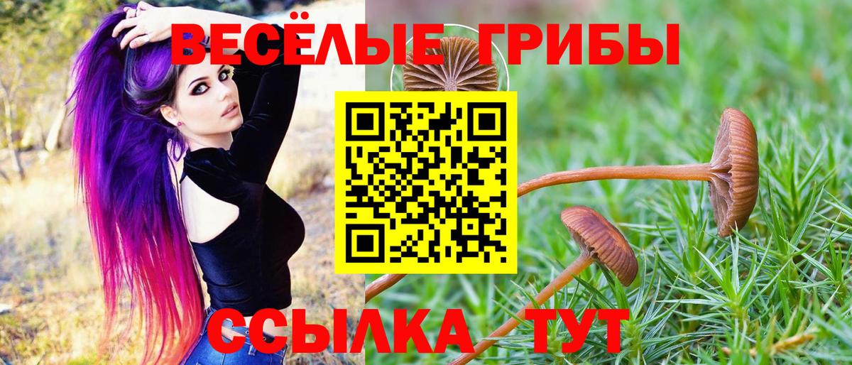 Галлюциногенные грибы мухоморы Тверь